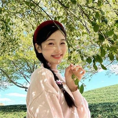 魅力航班